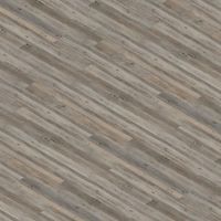 BOROVICE SIBIŘSKÁ 12128-1