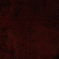 Butterfly Elite Copper