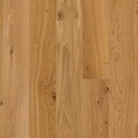 Dub Animoso – 2V spára