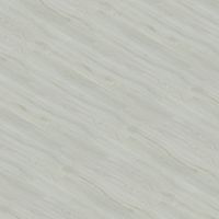 Dub popelavý, 30146-1